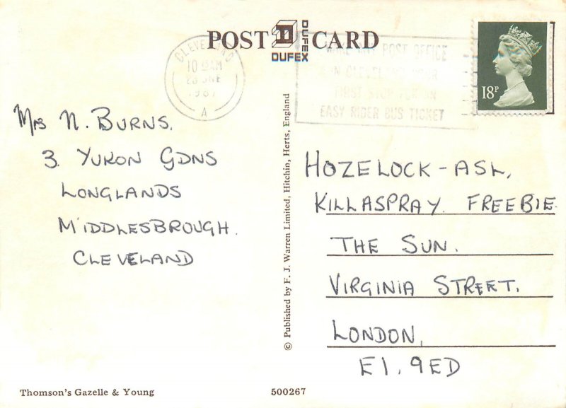 Thomson`s Gazelle & Young silver novelty postcard 1987