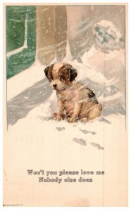 Dog  ,  Won't you please love me