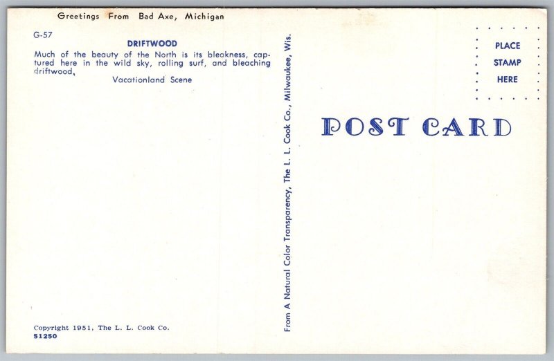Vtg Greetings from Bad Axe Michigan MI Driftwood Lake Shore 1950s View Postcard
