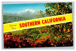 Vintage 1960's Postcard Greetings From Southern California - Oranges Flowers