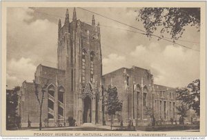 Connecticut New Haven Peabody Museum Of Natural History Yale University Alber...