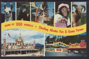 Sterling Alaska Fur and Game Farms,Lake Placid,NY Postcard