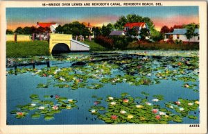 Bridge Over Lewes and Rehoboth Canal, Rehoboth Beach DE c1931 Postcard I42