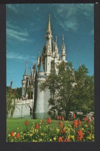 Florida Walt Disney World - Beautiful Cinderella Castle FANTASYLAND ~ Chrome