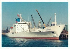 Nautica Honolulu 1979 Dammers Seatrade Ship Vintage Postcard BS.11