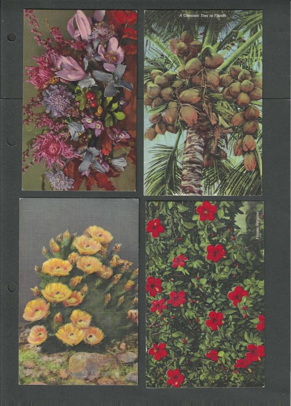 FL-23  4 Vintage Floral Post Cards