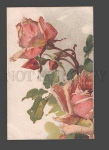 3086401 Huge PINK ROSES by C. KLEIN vintage LITHO Russian PC
