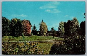 Postcard Brighton Michigan c1950s Dibrova Ukrainian Association Scenic View