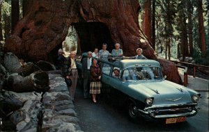 Yosemite Nat'l Park California CA Cadillac Skyview Touring Station Wagon PC