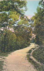 Deer Park Trail near Starved Rock State Park IL, Illinois Hand-Colored Albertype