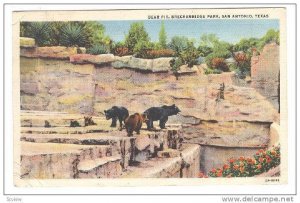 Bear Pit, Breckenridge Park, San Antonio, Texas, PU-1933