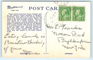 Death Valley CA Borax Mule Team Wagon California Postcard