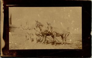 RPPC Arthur with Line Horses Mules? to Park River North Dakota Photo Postcard