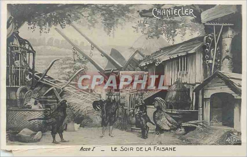 Old Postcard The Evening of the Pheasant Chantecler Coq