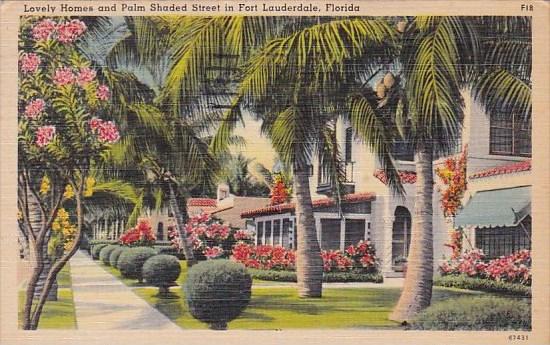 Florida Fort Lauderdale Lovely Homes And Palm Shaded Street In Fort Lauderdal...