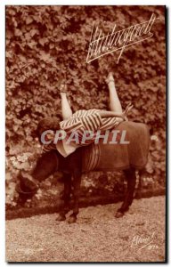 Postcard Modern Cinema Mistinguett Donkey Mule