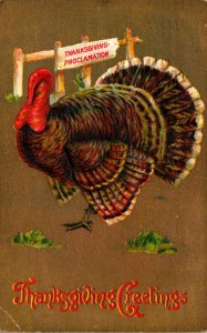Thanksgiving Greetings With Turkey 1911
