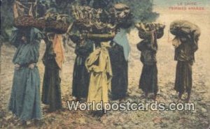 Femmes Arabes Egypt Postcard.