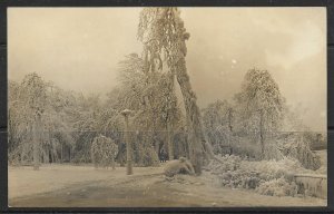 AZO - Frozen Wintry Landscape - [FG-259]