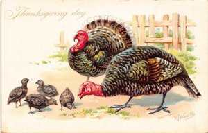 Thanksgiving Greetings Turkey Parents and Poults Art RJ Wealthy postcard B990