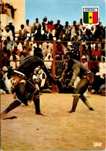 VINTAGE CONTINENTAL SIZE POSTCARD TRIBAL SPORT FIGHTING WARRIORS SENEGAL AFRICA