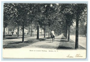 1906 Scene on Lincoln Parkway, Buffalo New York NY Antique Posted Postcard