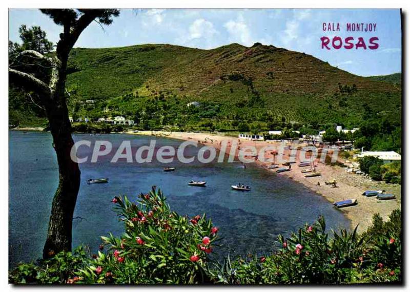 Postcard Modern Roses La Tranquila Cula Mountjoy