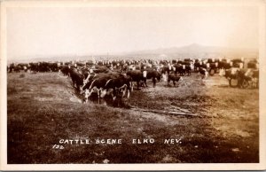 RPPC, Cattle Scene, Elko NV Vintage Postcard Q49