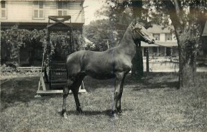 Postcard RPPC C-1910 Backyard Horse swing set residence TP24-2941