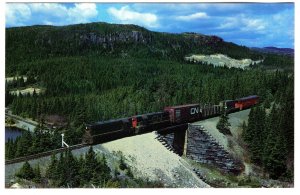 Trinity Loop, Narrow Gauge Train on Bridge, Newfoundland