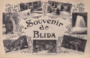 Algeria Blida Souvenir Multi View