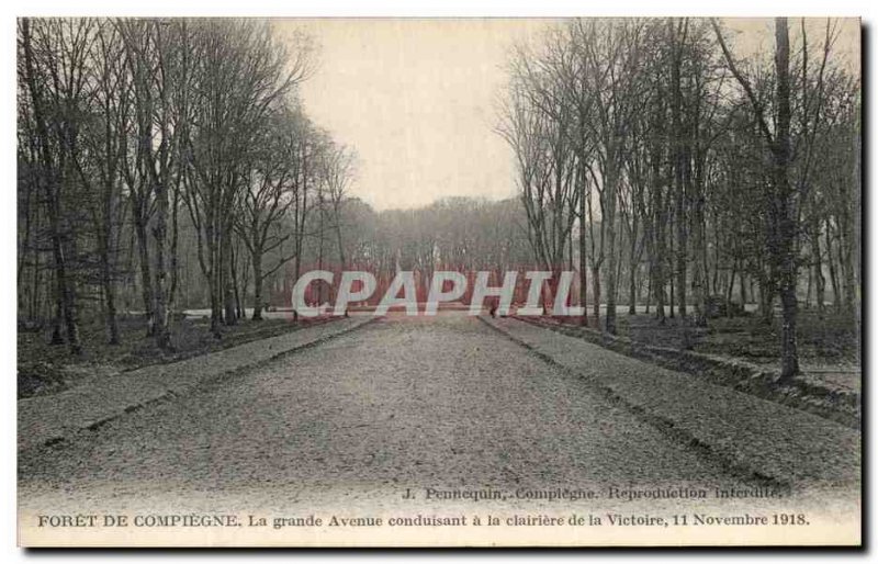 Old Postcard Compiegne Foret De La Grande Avenue leading the Glade November 1...