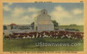 Beef Castle - Misc, Kansas KS