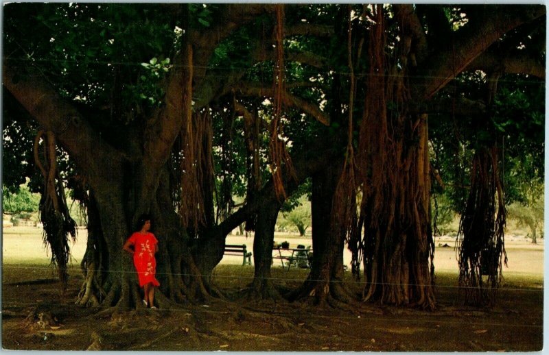 Banyan tree with its aerial root system at Lahaina Maui Hawaii Postcard