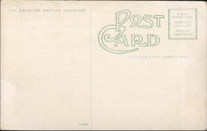 Tampa FL Birdseye View Harbor Ships c1910 Postcard