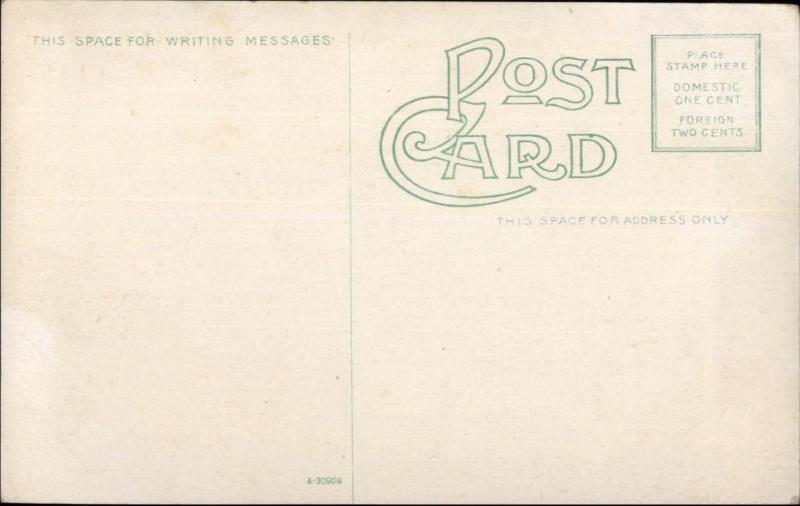 Tampa FL Birdseye View Harbor Ships c1910 Postcard