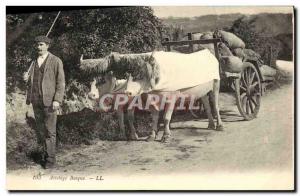 Old Postcard Folklore Basque hitch Beoufs