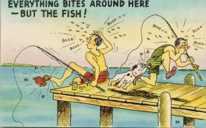 Comic Fisherman Dog 'Everything Bites But The Fish' Unused Linen Postcard G50