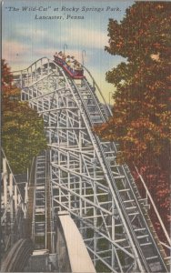 Postcard Roller Coaster Wild Cat Rocky Springs Park Lancaster PA