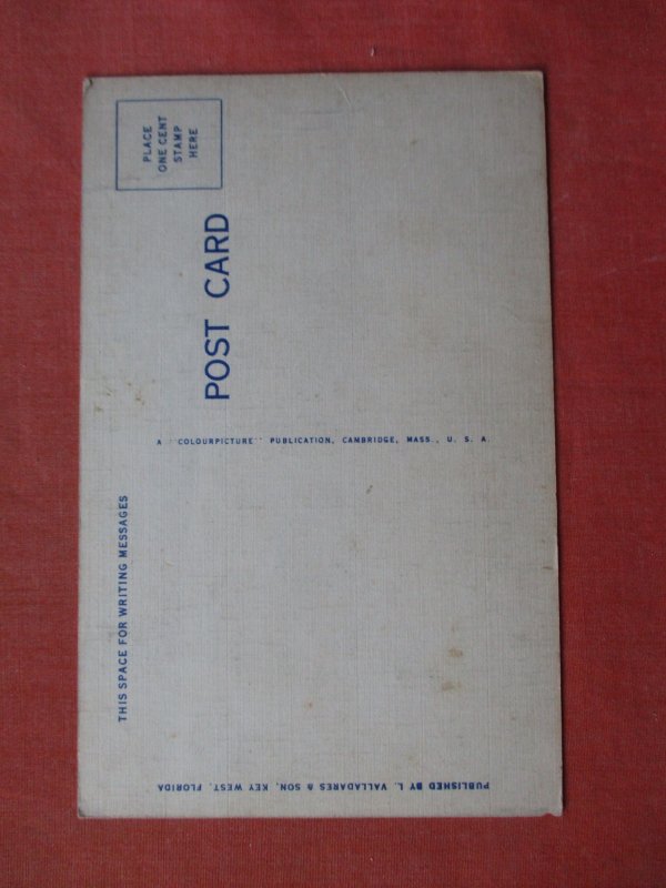 Boots Learning to Load Gun. Key West Florida H5