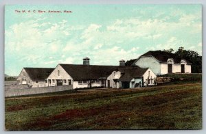 Vintage Massachusetts Postcard - The M. A. C. Barn  Amherst   c1915