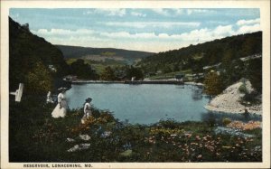 Lonaconing Maryland MD Reservoir Vintage Postcard