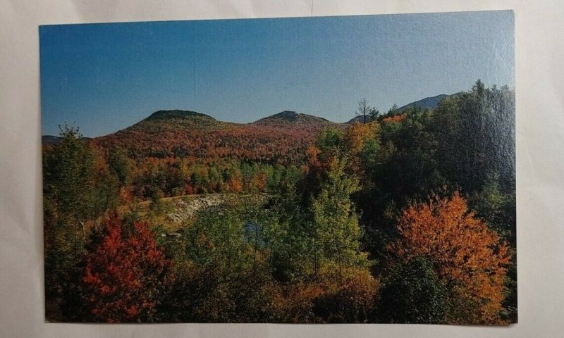 Postcard Ammonoosuc River Twin Mountain 1988 New Hampshire Autumn Color 2025