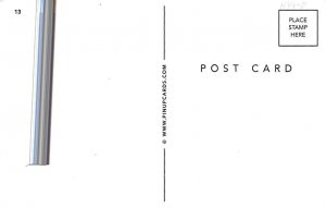 Reproduction Nude Nude Postcard