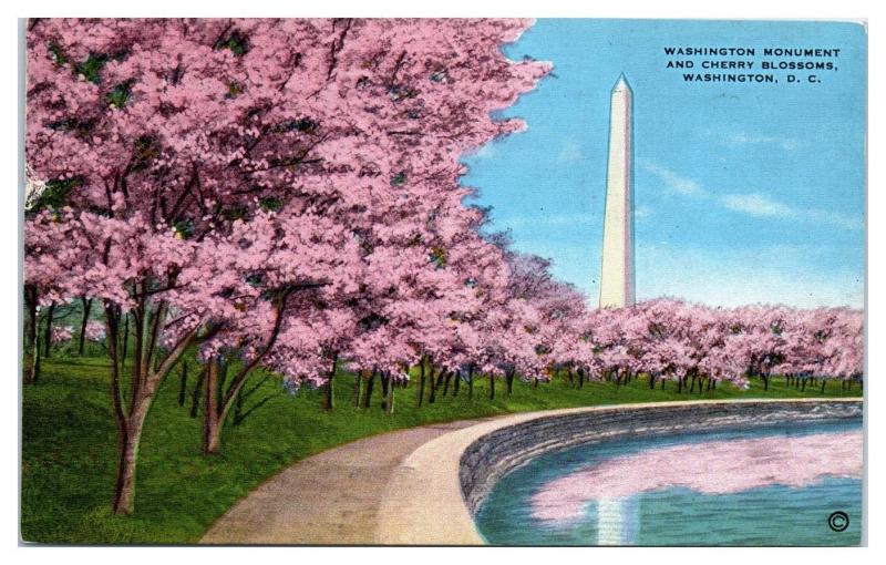 1941 Washington Monument and Cherry Blossoms, Washington, DC Postcard