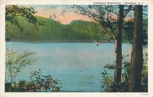 Fredonia Reservoir - Chautauqua County NY, New York - pm 1931 - WB