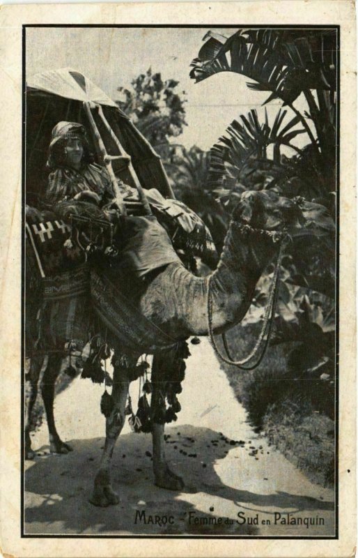 CPA AK Femme du Sud en Palanquin MAROC (856024)