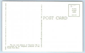 HONOLULU, HI Hawaii ~ KODAK HULA SHOW Happy HAWAIIAN GUITARIST c1960s Postcard