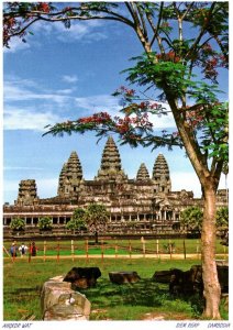 ANGOR WAT SIEM REAP CAMBODIA OUTDOOR VIEW OF THE TEMPLES CONTINENTAL SIZE