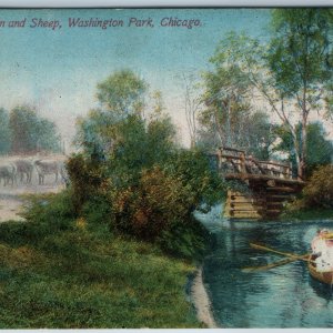 c1920s Chicago IL Washington Park Lagoon Sheep Heavenly Scene Postcard Boat A196